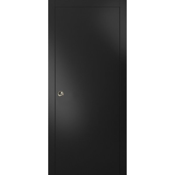 Sartodoors Barn Interior Door, Gray PLANUM10PD-BLK-24